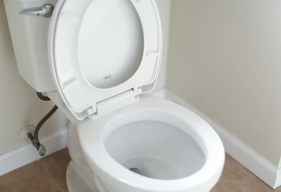 똥이 가득한 꿈