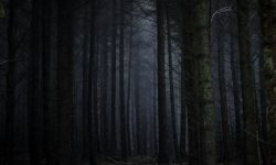 죽어있는 사람을 보는 꿈 해몽 뜻풀이 총정리 죽어있는 사람을 보는 꿈