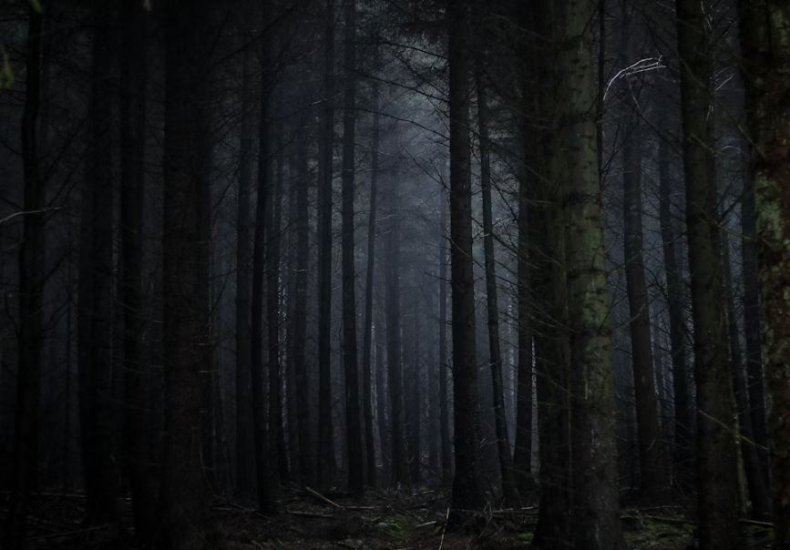 죽어있는 사람을 보는 꿈