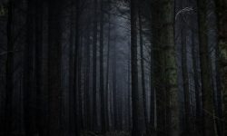 사람죽는걸 보는 꿈 해몽 뜻풀이 총정리 사람죽는걸 보는 꿈