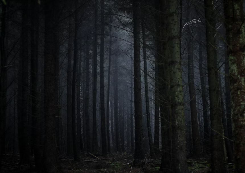 죽은 척하는 꿈