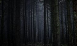 죽은 사람이 보이는 꿈 해몽 뜻풀이 총정리 죽은 사람이 보이는 꿈