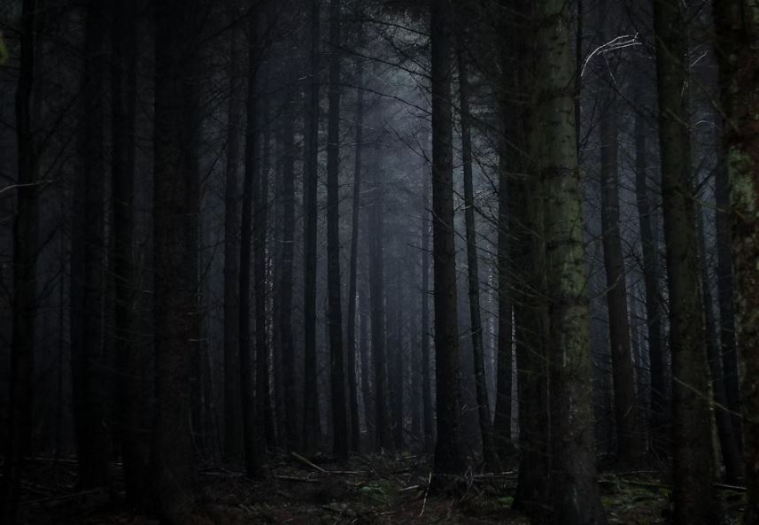 죽은 사람이 보이는 꿈