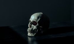 죽은 사람이 꿈에 나타나는 꿈 해몽 뜻풀이 총정리 죽은 사람이 꿈에 나타나는 꿈