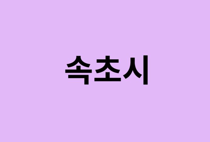속초시 벚꽃 명소