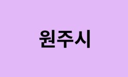 원주시 벚꽃 명소