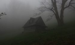 죽은 사람이 밥 주는 꿈