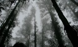 죽은 사람을 때리는 꿈 해몽 뜻풀이 총정리 죽은 사람을 때리는 꿈