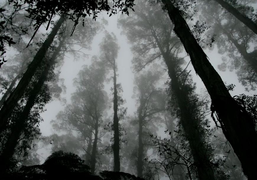 죽은 사람을 때리는 꿈