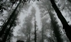 죽은 사람을 만지는 꿈