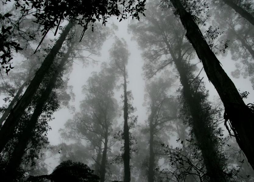 죽은 사람을 만지는 꿈