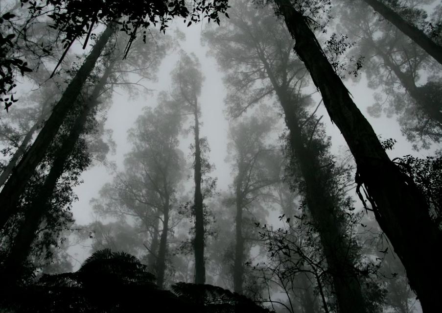 죽은 사람이랑 밥먹는 꿈