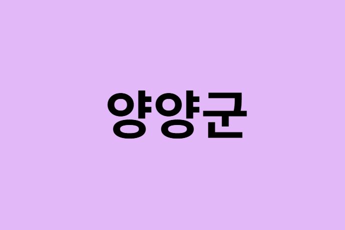 양양군 벚꽃 명소