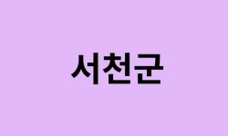 서천군 벚꽃 명소 추천