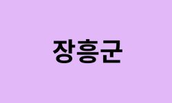 장흥군 벚꽃 명소 추천