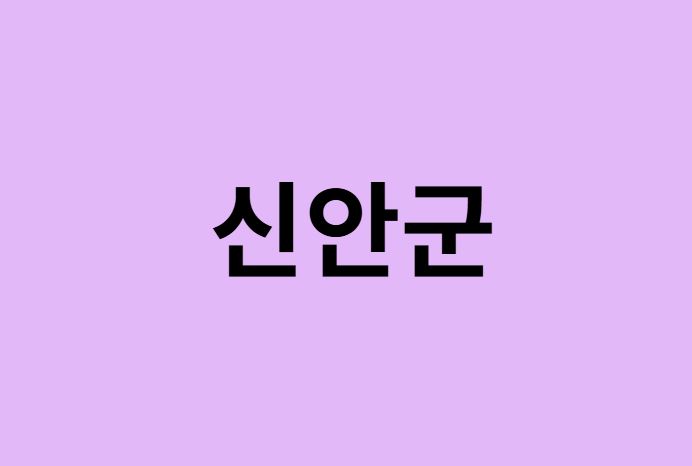 신안군 벚꽃 명소