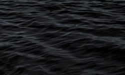 여러 사람이 죽어있는 꿈