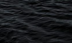 죽은 사람이 살아나는 꿈