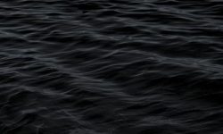 죽은 사람이 관 속에서 일어나는 꿈