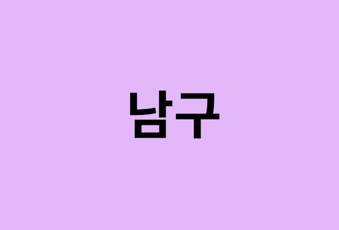 포항시 남구 벚꽃 명소