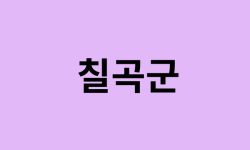 칠곡군 벚꽃 명소 추천 순위 (숨은길, 숨겨진 장소) 칠곡군 벚꽃 명소