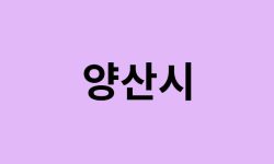 양산시 벚꽃 명소