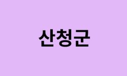 산청군 벚꽃 명소 추천 순위 (숨은길, 숨겨진 장소) 산청군 벚꽃 명소