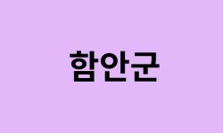 함안군 벚꽃 명소