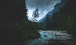 죽은 사람이 살아있는 꿈