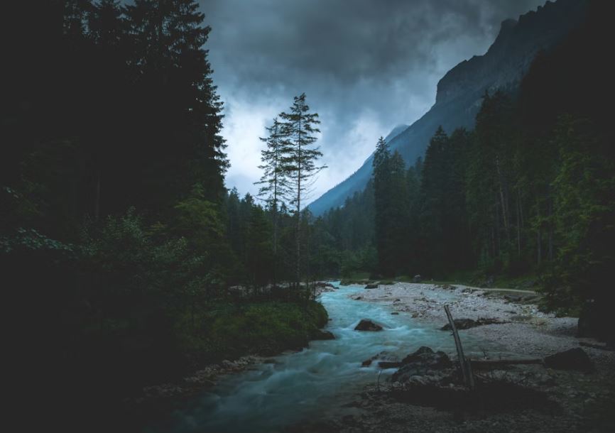 죽은 사람이 살아있는 꿈