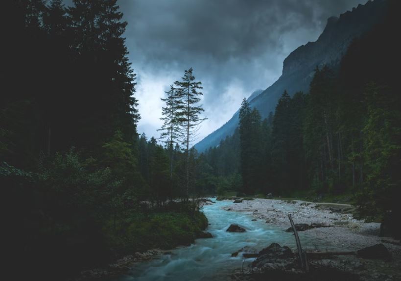 죽은 사람이 목욕하는 꿈