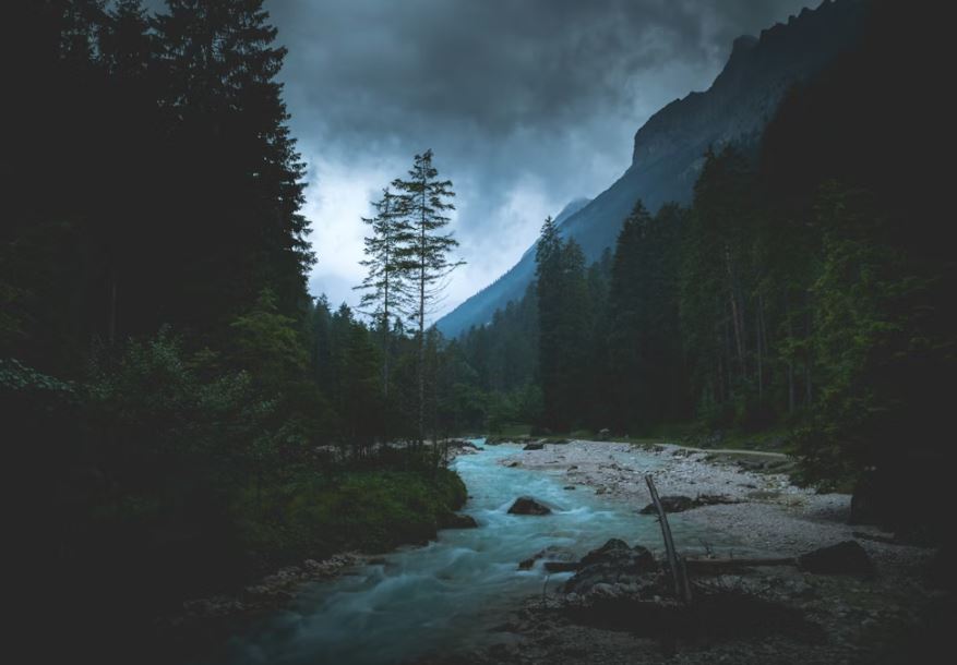 죽은 사람이 같이 가자고 하는 꿈