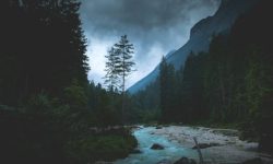 죽은 사람이 다시 죽는 꿈 해몽 뜻풀이 총정리 죽은 사람이 다시 죽는 꿈