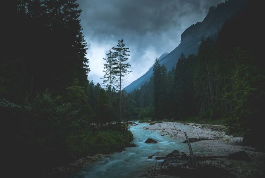 죽은 사람이 밥 먹는 꿈