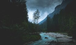 사람이 죽어있는 꿈