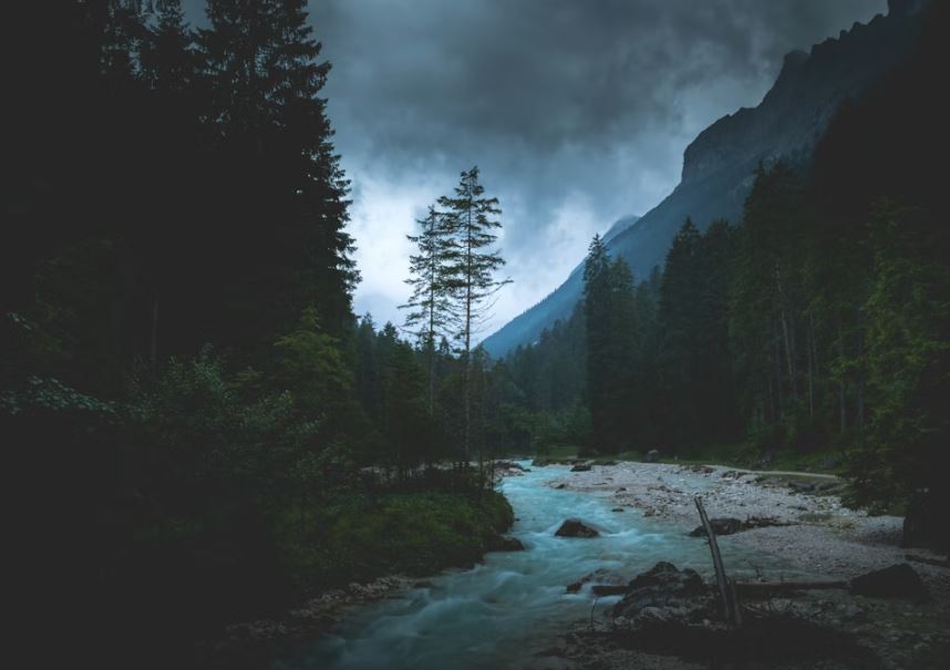 사람이 죽어있는 꿈