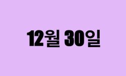 12월 30일 생일 탄생화, 탄생석, 별자리, 꽃말, 운세, 사주