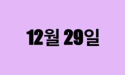 12월 29일 생일 탄생화, 탄생석, 별자리, 꽃말, 운세, 사주