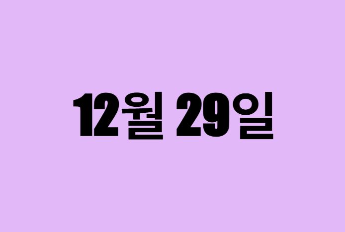 12월 29일 생일 탄생화, 탄생석, 별자리, 꽃말, 운세, 사주