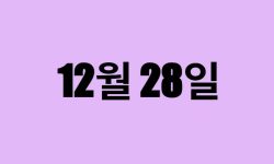 12월 28일 생일 탄생화, 탄생석, 별자리, 꽃말, 운세, 사주