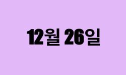 12월 26일 생일 탄생화, 탄생석, 별자리, 꽃말, 운세, 사주