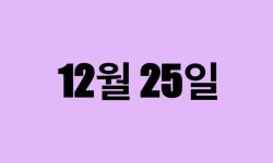 12월 25일 생일 탄생화, 탄생석, 별자리, 꽃말, 운세, 사주