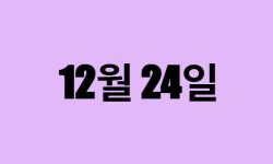12월 24일 생일 탄생화, 탄생석, 별자리, 꽃말, 운세, 사주