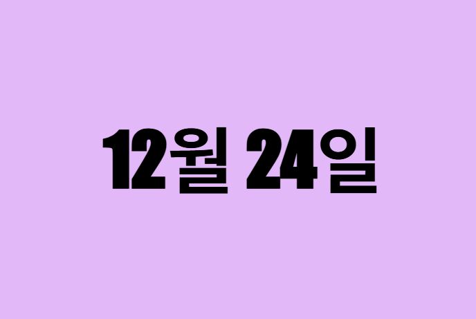 12월 24일 생일 탄생화, 탄생석, 별자리, 꽃말, 운세, 사주