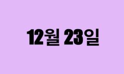 12월 23일 생일 탄생화, 탄생석, 별자리, 꽃말, 운세, 사주