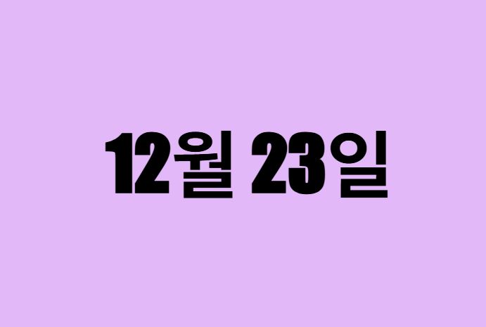 12월 23일 생일 탄생화, 탄생석, 별자리, 꽃말, 운세, 사주
