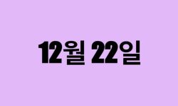 12월 22일 생일 탄생화, 탄생석, 별자리, 꽃말, 운세, 사주