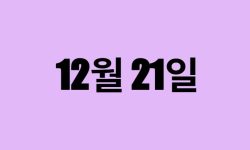12월 21일 생일 탄생화, 탄생석, 별자리, 꽃말, 운세, 사주