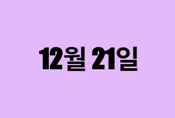 12월 21일 생일 탄생화, 탄생석, 별자리, 꽃말, 운세, 사주