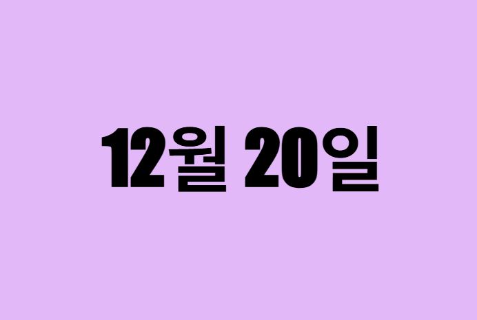 12월 20일 생일 탄생화, 탄생석, 별자리, 꽃말, 운세, 사주